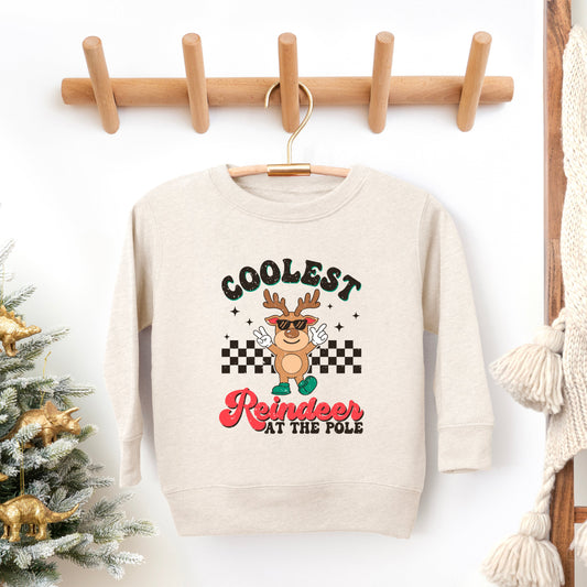 Coolest Reindeer At The Pole | Youth Ultra-Soft Graphic Sweatshirt