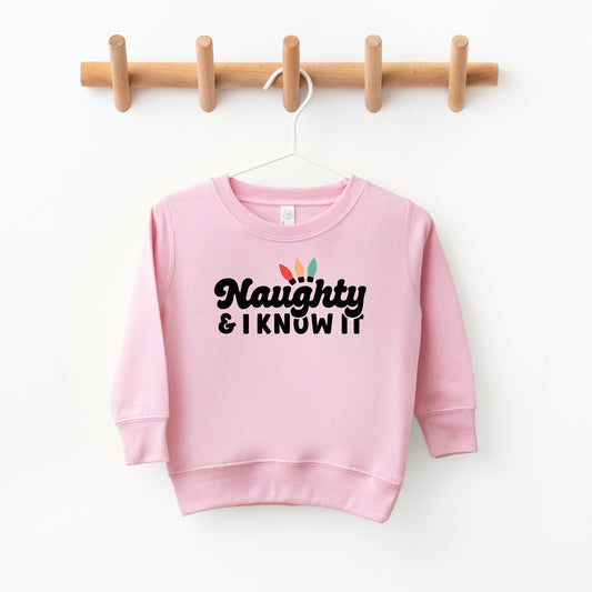 Naughty And I Know It Lights | Toddler Sweatshirt