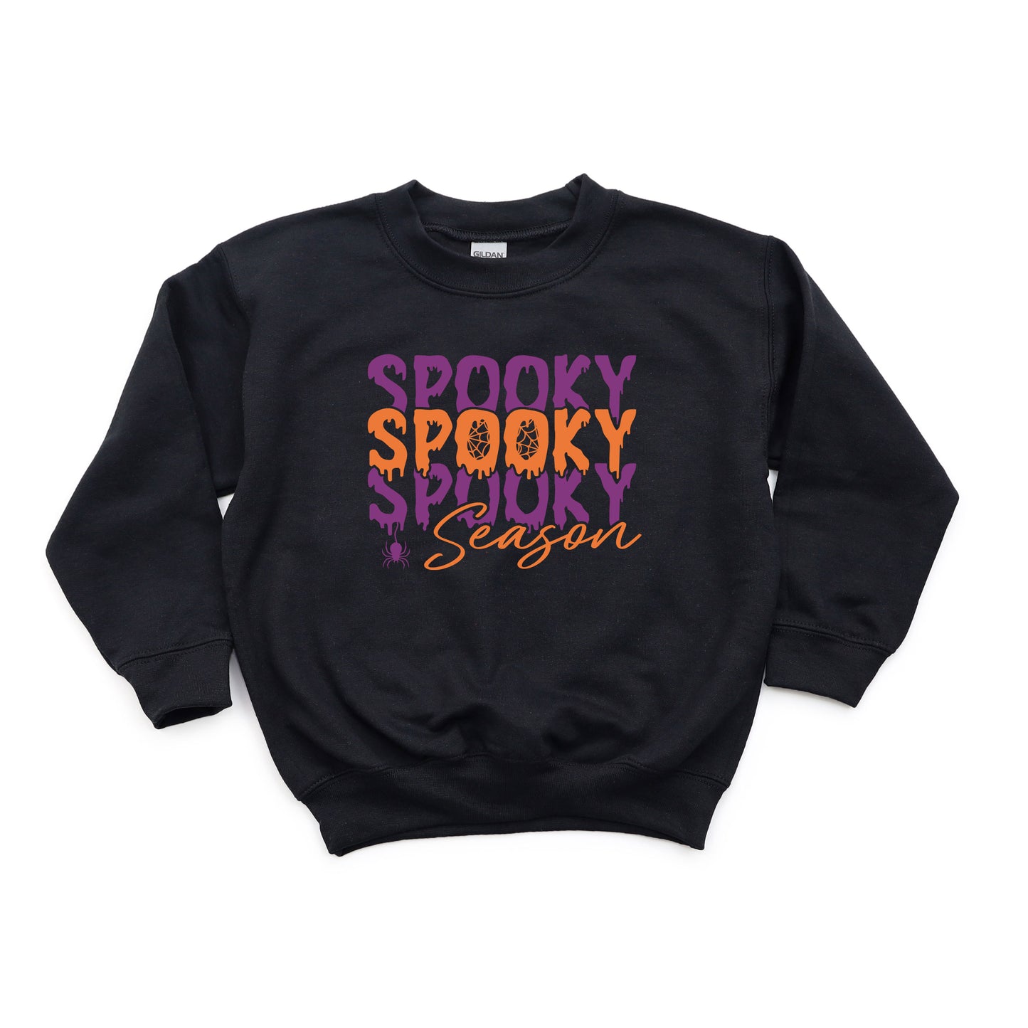 Spooky Season Spider | Youth Graphic Sweatshirt