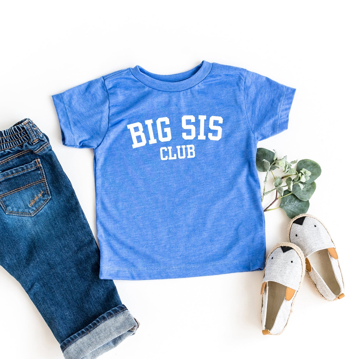 Big Sis Club | Toddler Graphic Short Sleeve Tee