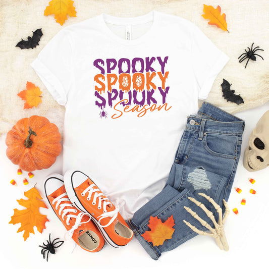 Spooky Season Spider | Youth Graphic Short Sleeve Tee