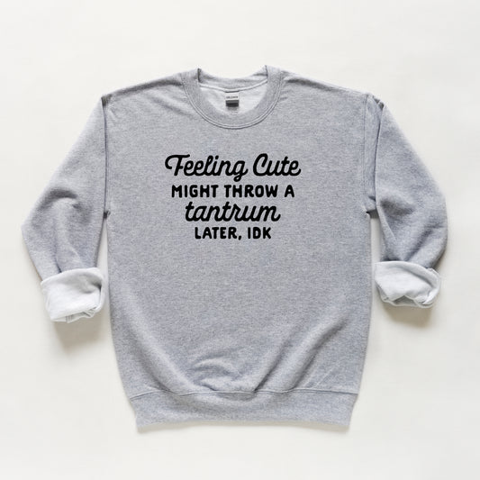 Might Throw A Tantrum | Youth Sweatshirt