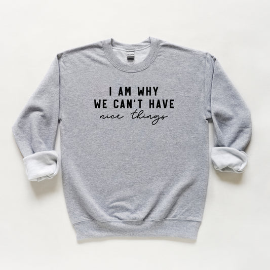 Can't Have Nice Things Cursive | Youth Sweatshirt