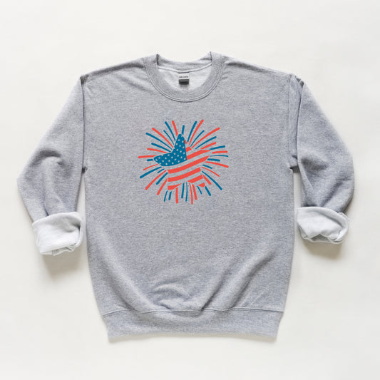 Star Flag Firework | Youth Sweatshirt